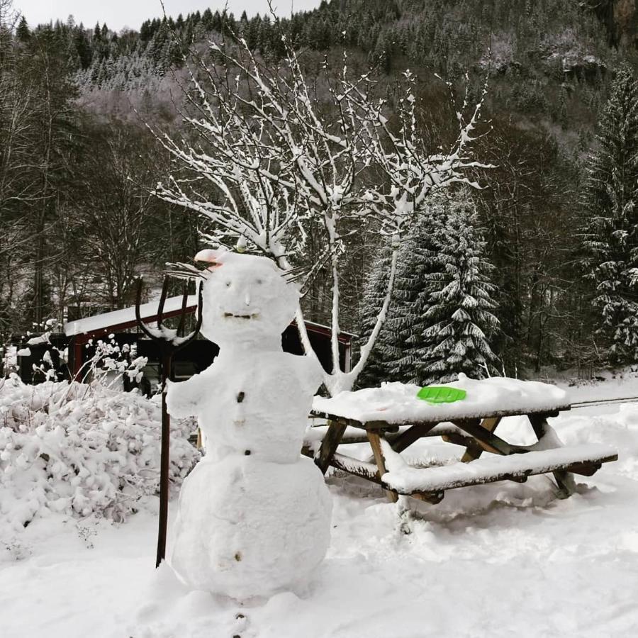 SAMOENS VACANCES - 4 PERSONES et plus Extérieur photo